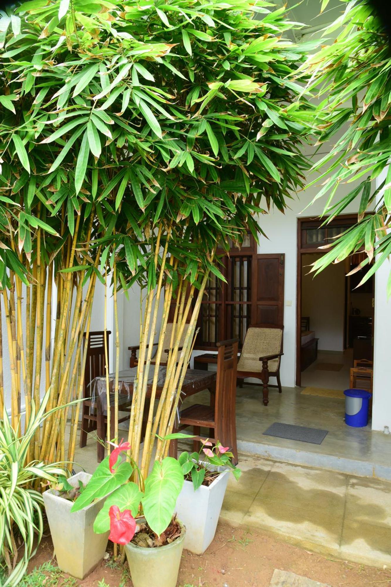 Tranquil Hotel Hikkaduwa Kültér fotó